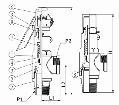 Stainless Steel Closed Cap Pressure Relief Valve